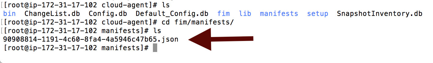 Troubleshooting File Integrity Monitoring on Linux Cloud Agent