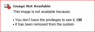 Qualys Customer Portal