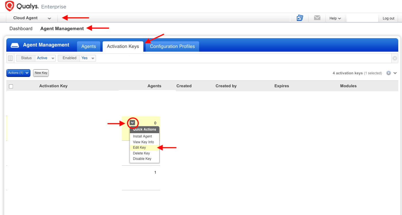 Activate modules on cloud agents via activation key